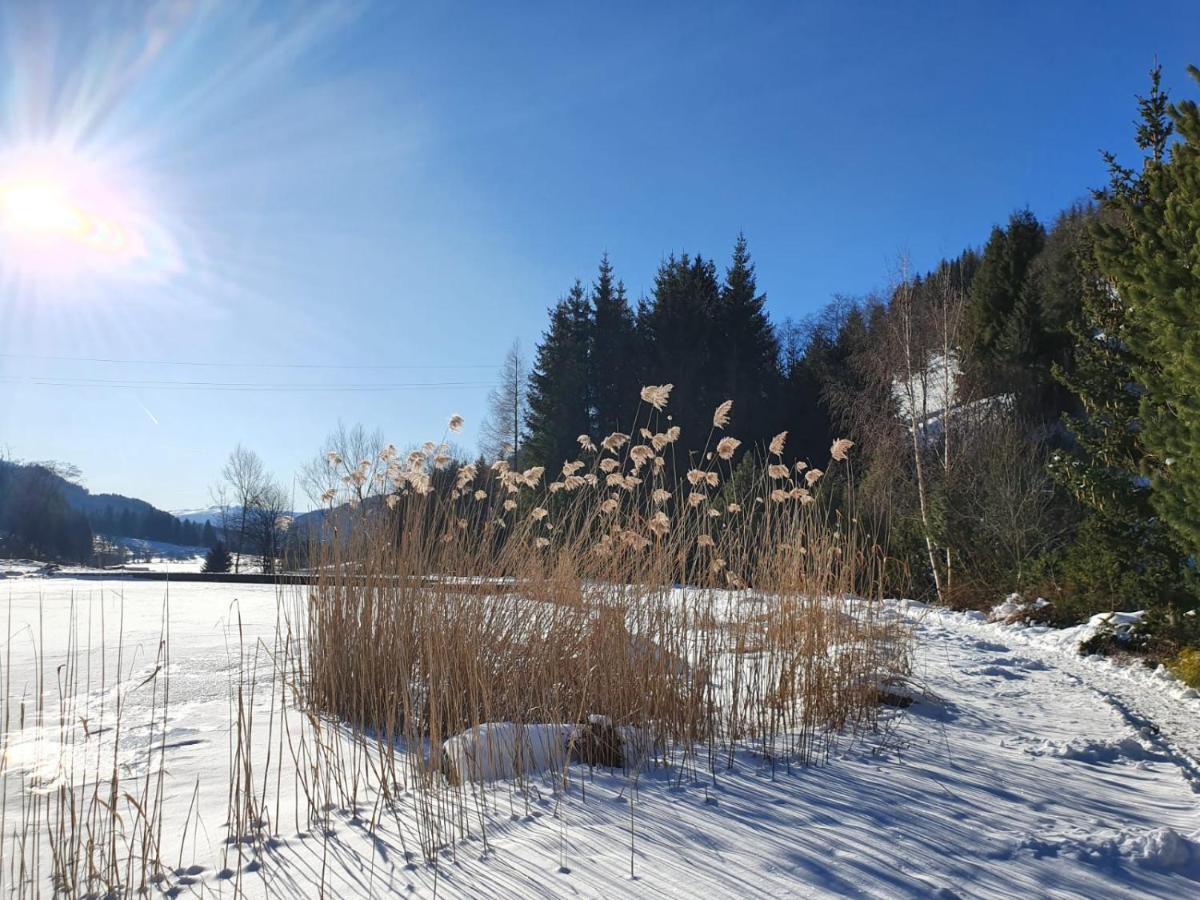Grassegger Appartementhaus Sankt Johann am Tauern ภายนอก รูปภาพ