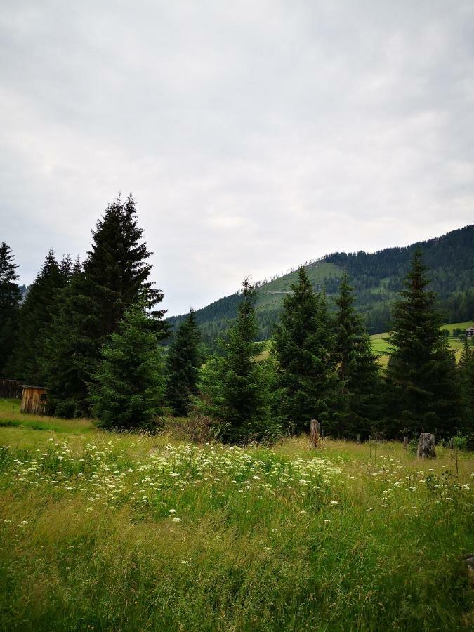 Grassegger Appartementhaus Sankt Johann am Tauern ภายนอก รูปภาพ